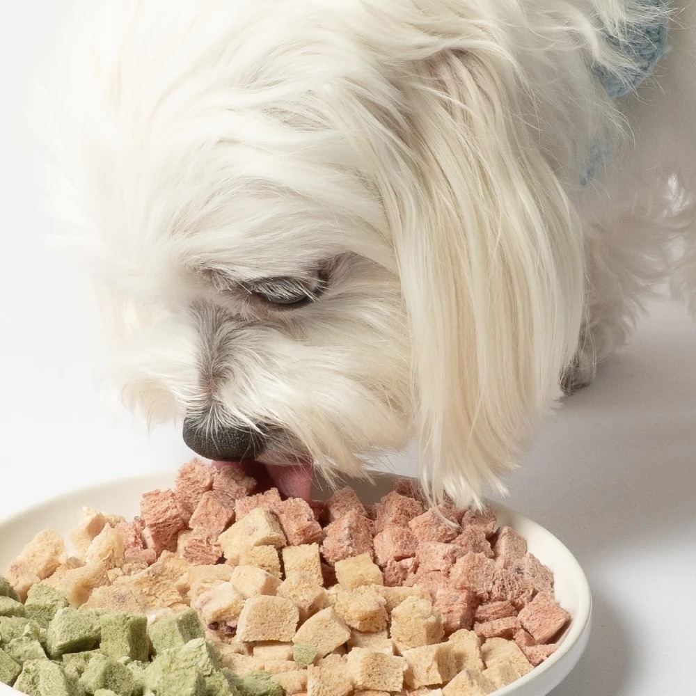 [喵皇帝] 汪喵星球 機能保健丁｜犬貓凍乾保健零食 20g 貓零食 犬貓適用-細節圖8