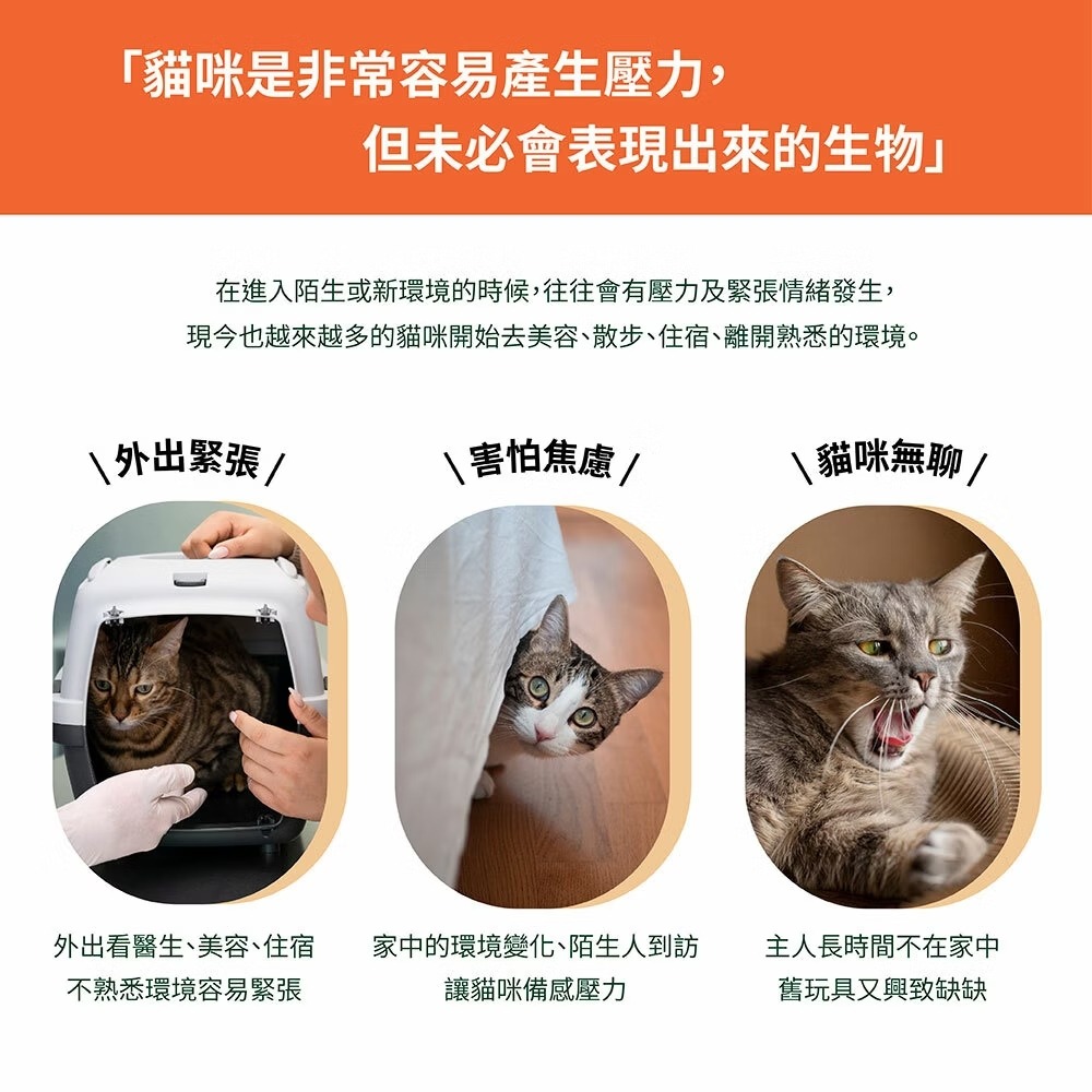 [喵皇帝] Mad Farmer 韓國無農藥 木天蓼森林│10g 貓草-細節圖2