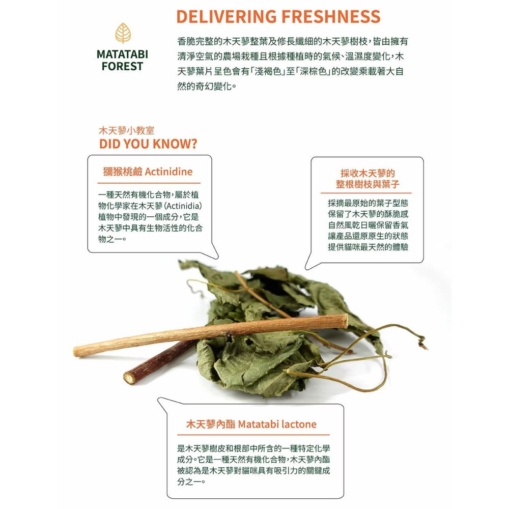 [喵皇帝] Mad Farmer 韓國無農藥 木天蓼森林│10g 貓草-細節圖4