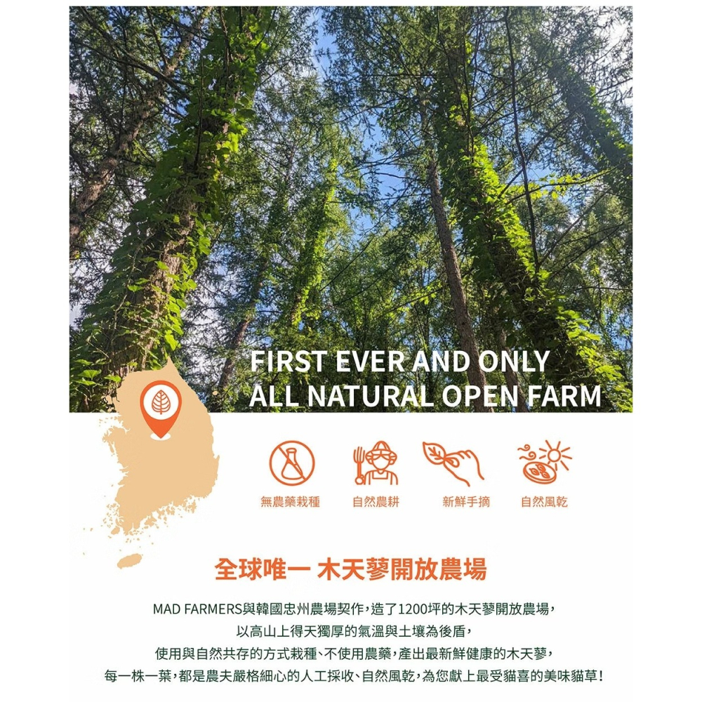 [喵皇帝] Mad Farmer 韓國無農藥 木天蓼森林│10g 貓草-細節圖5