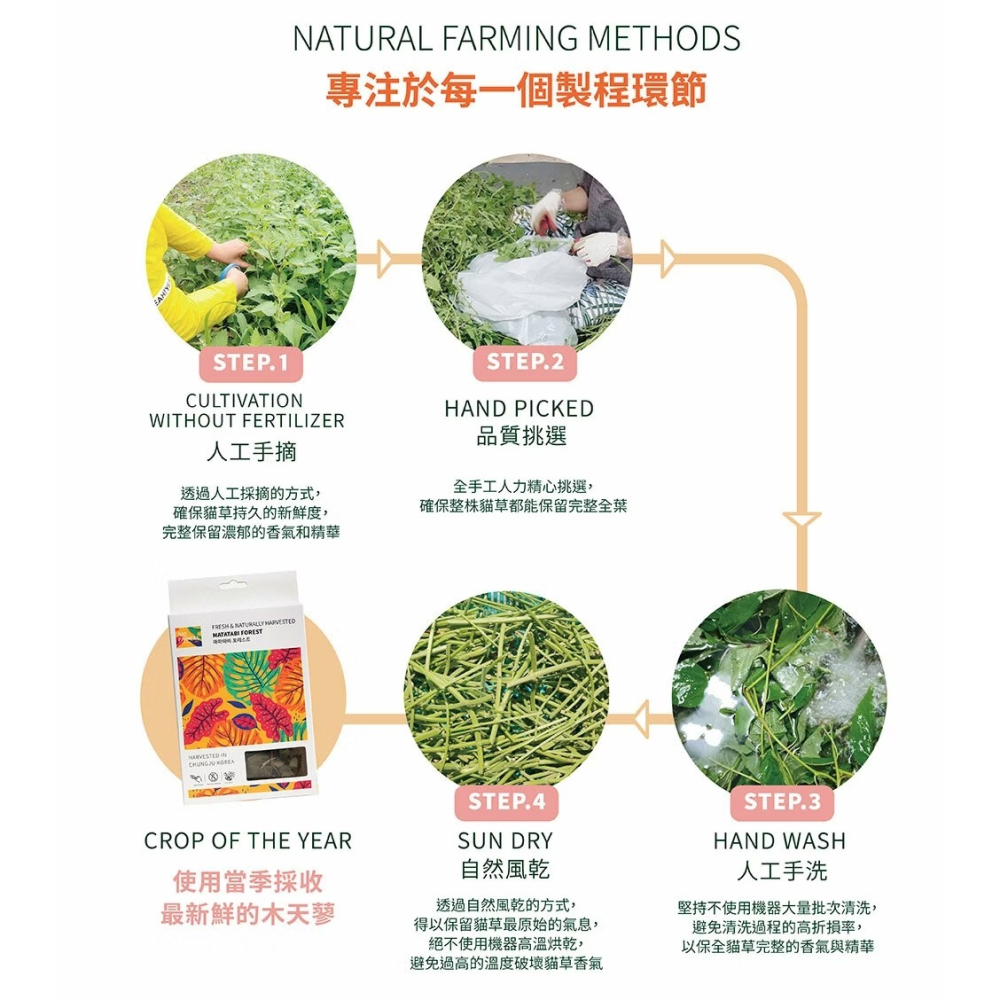 [喵皇帝] Mad Farmer 韓國無農藥 木天蓼森林│10g 貓草-細節圖7