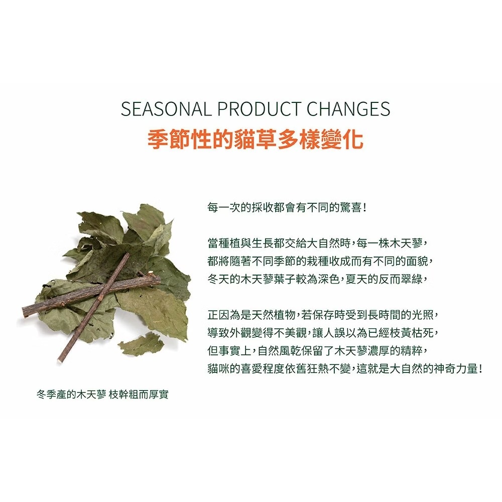 [喵皇帝] Mad Farmer 韓國無農藥 木天蓼森林│10g 貓草-細節圖8