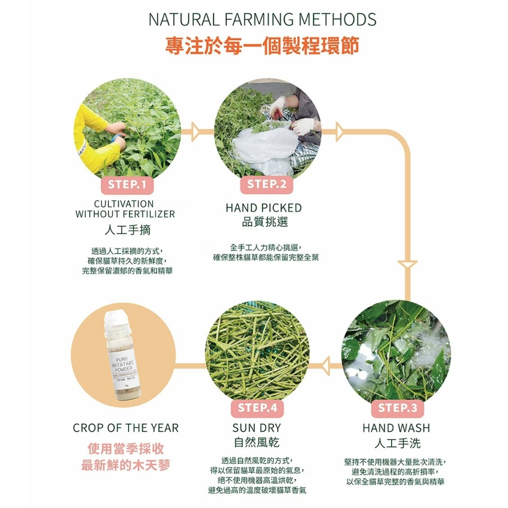 [喵皇帝] Mad Farmer 梅德農夫 韓國無農藥 木天蓼粉│10g 貓草-細節圖8