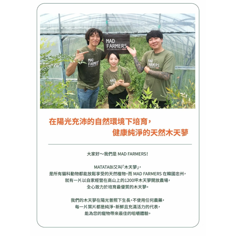 [喵皇帝] Mad Farmer 梅德農夫 韓國無農藥 木天蓼粉│10g 貓草-細節圖9