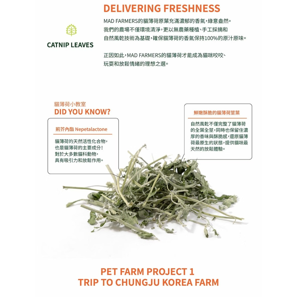 [喵皇帝] Mad Farmer 梅德農夫 韓國無農藥 貓薄荷原葉│10g 貓草-細節圖7