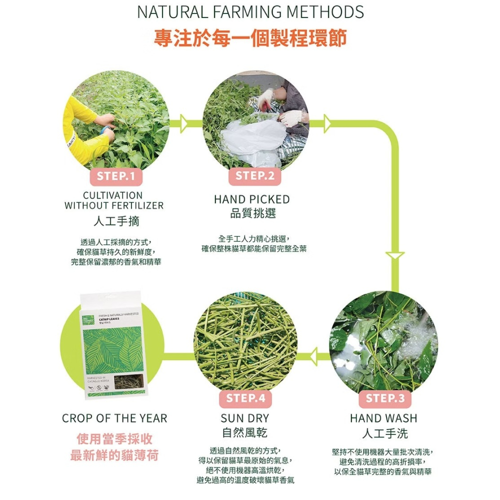 [喵皇帝] Mad Farmer 梅德農夫 韓國無農藥 貓薄荷原葉│10g 貓草-細節圖9