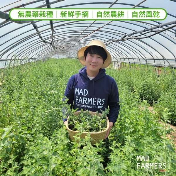 [喵皇帝] Mad Farmer 梅德農夫 韓國無農藥 貓薄荷脆片│10g 貓草-細節圖4