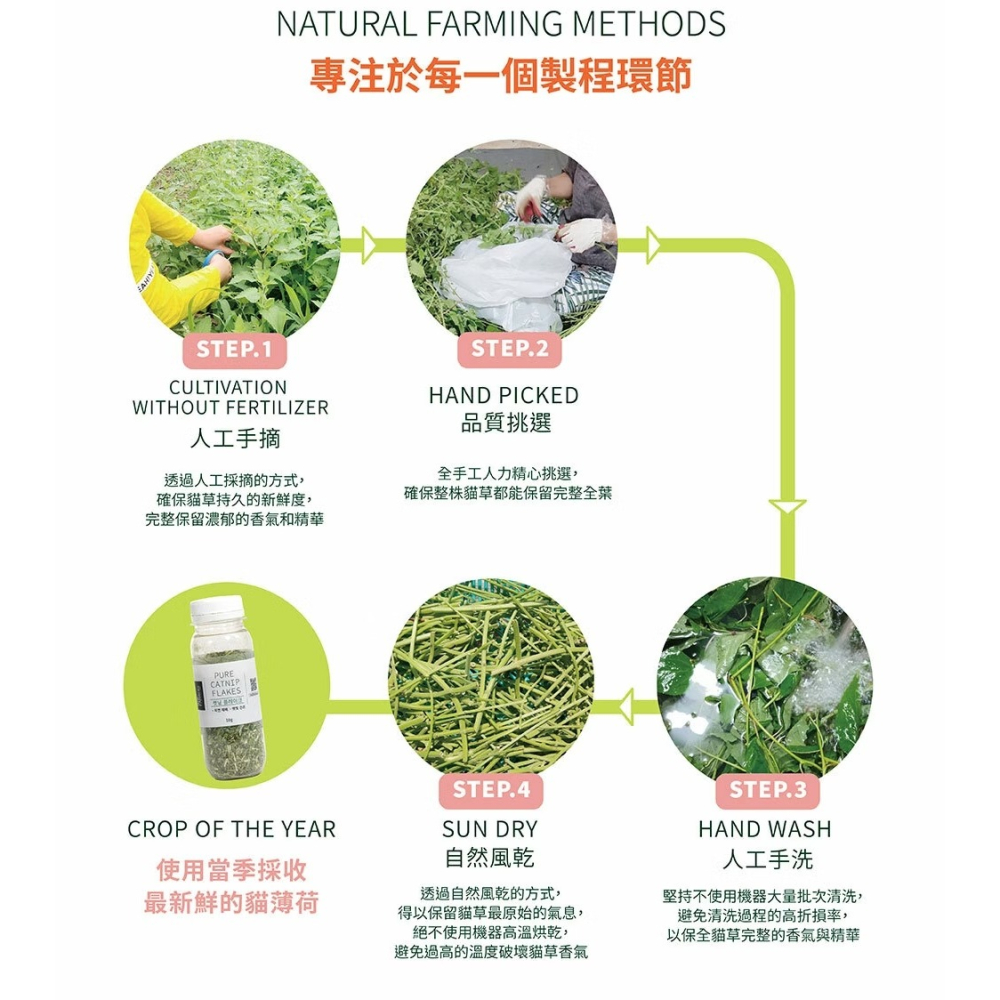 [喵皇帝] Mad Farmer 梅德農夫 韓國無農藥 貓薄荷脆片│10g 貓草-細節圖9