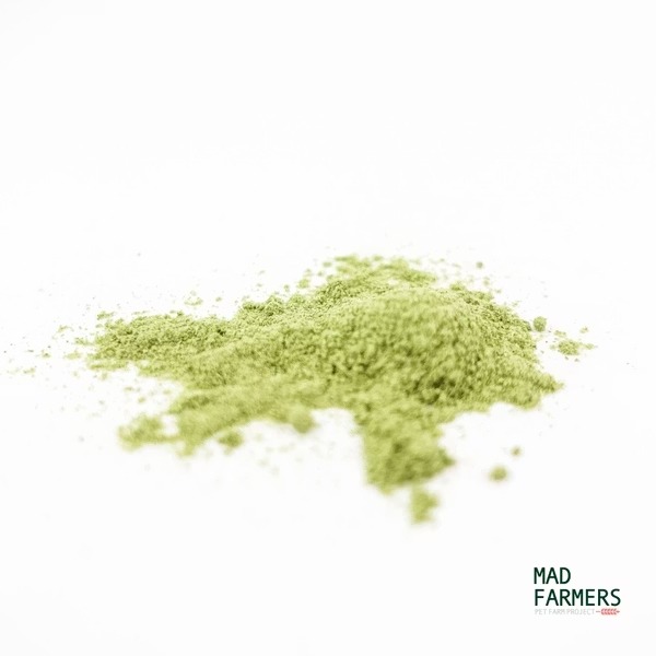 [喵皇帝] Mad Farmer 梅德農夫 韓國無農藥 貓薄荷粉│10g 貓草-細節圖3