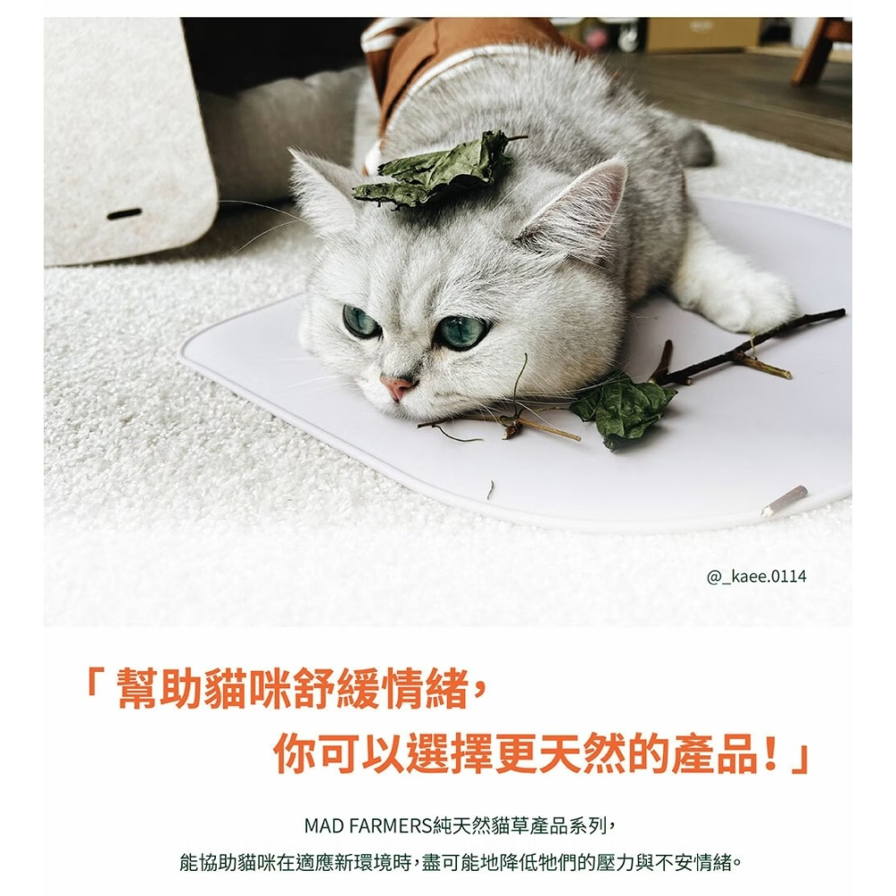 [喵皇帝] Mad Farmer 梅德農夫 韓國無農藥 貓薄荷粉│10g 貓草-細節圖5