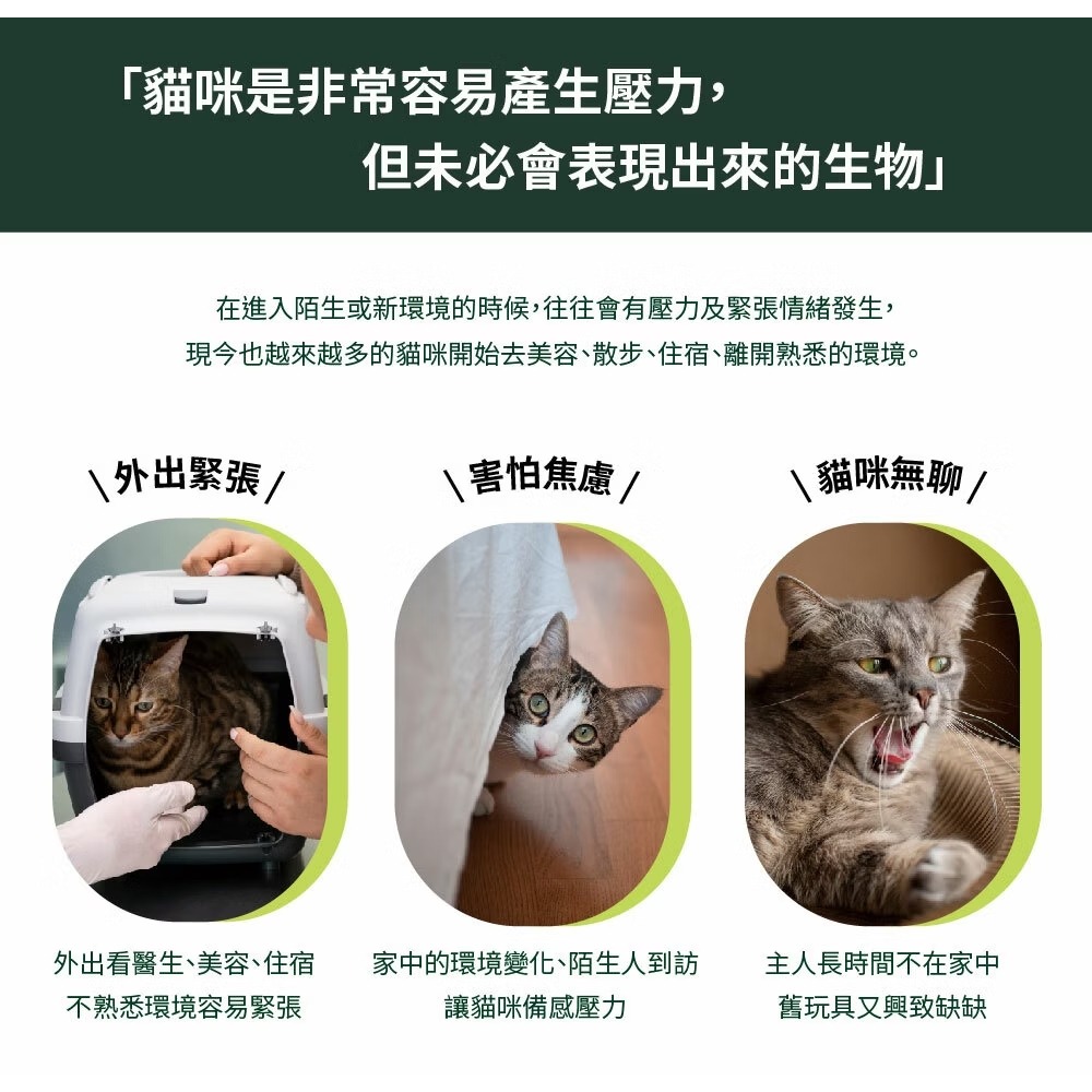 [喵皇帝] Mad Farmer 梅德農夫 韓國無農藥 貓薄荷菁華噴霧 │純原液│50ml 貓草-細節圖4