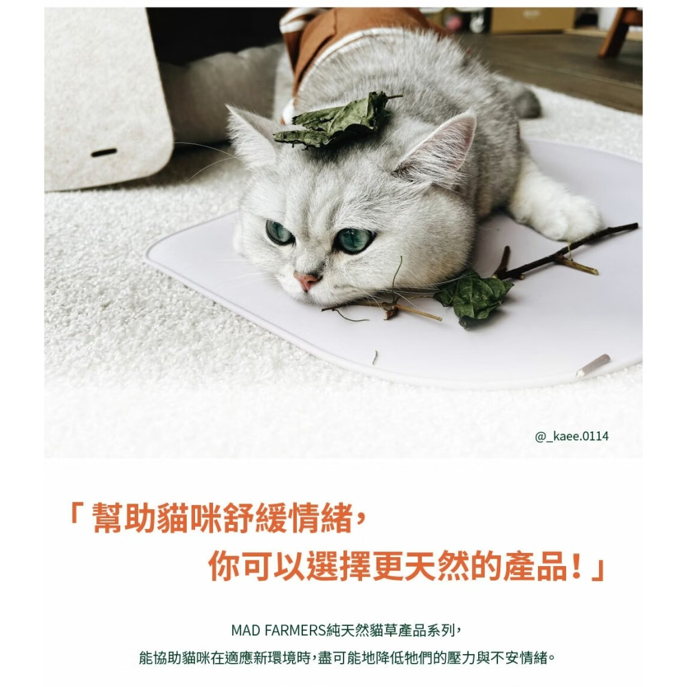 [喵皇帝] Mad Farmer 梅德農夫 韓國無農藥 貓薄荷菁華噴霧 │純原液│50ml 貓草-細節圖5