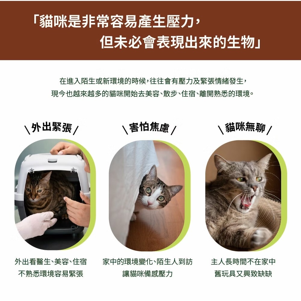 [喵皇帝] Mad Farmer 梅德農夫 韓國無農藥 木天蓼菁華噴霧 │純原液│50ml 貓草-細節圖4