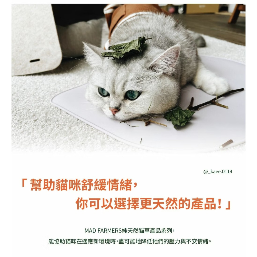 [喵皇帝] Mad Farmer 梅德農夫 韓國無農藥 木天蓼菁華噴霧 │純原液│50ml 貓草-細節圖5