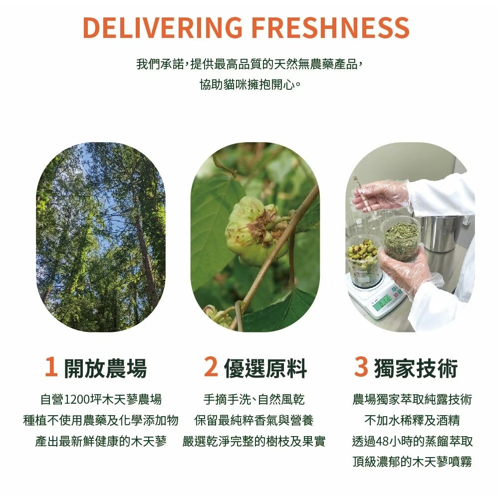 [喵皇帝] Mad Farmer 梅德農夫 韓國無農藥 木天蓼菁華噴霧 │純原液│50ml 貓草-細節圖7