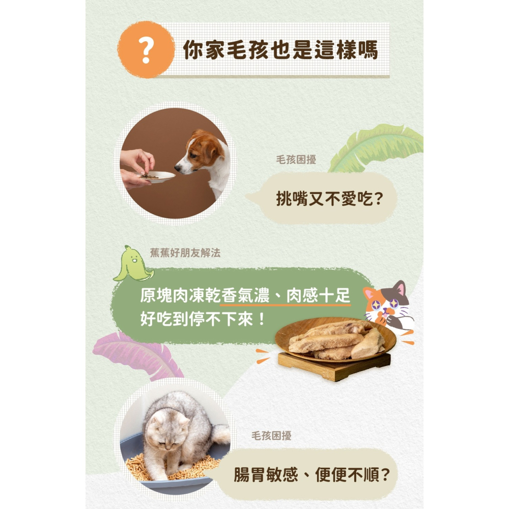 [喵皇帝] 奔奔 蕉蕉好朋友原肉凍乾零食 雞柳 鱸魚 烏魚 牛肝 犬貓適用 貓零食-細節圖5