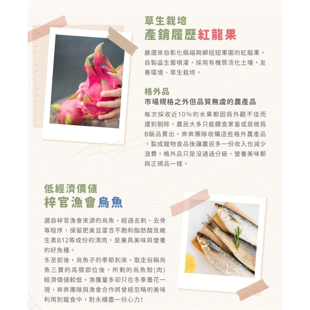 [喵皇帝] 奔奔 果肉泥貓咪主食餐包 40g 貓罐頭-細節圖5