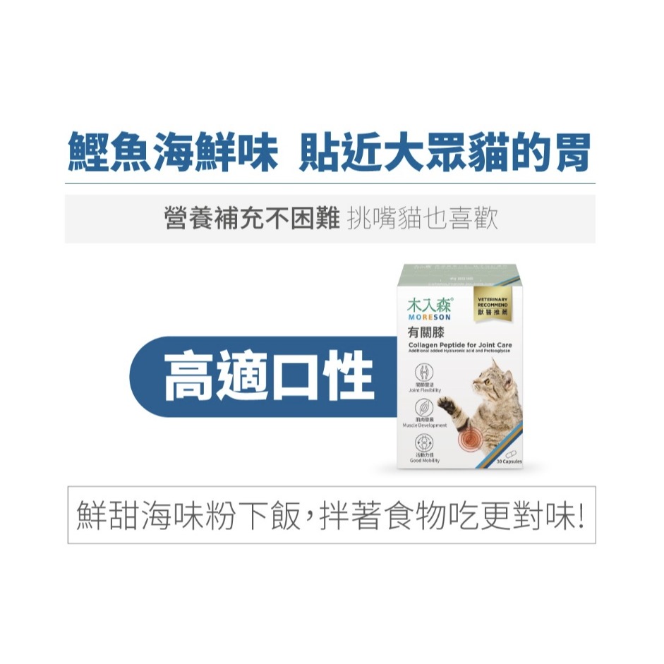 [喵皇帝] 木入森 貓咪有關膝 30顆/60顆 貓咪關節保健食品-細節圖7