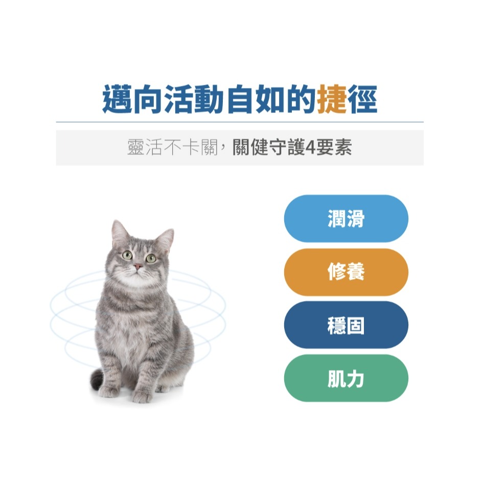 [喵皇帝] 木入森 貓咪有關膝 30顆/60顆 貓咪關節保健食品-細節圖8