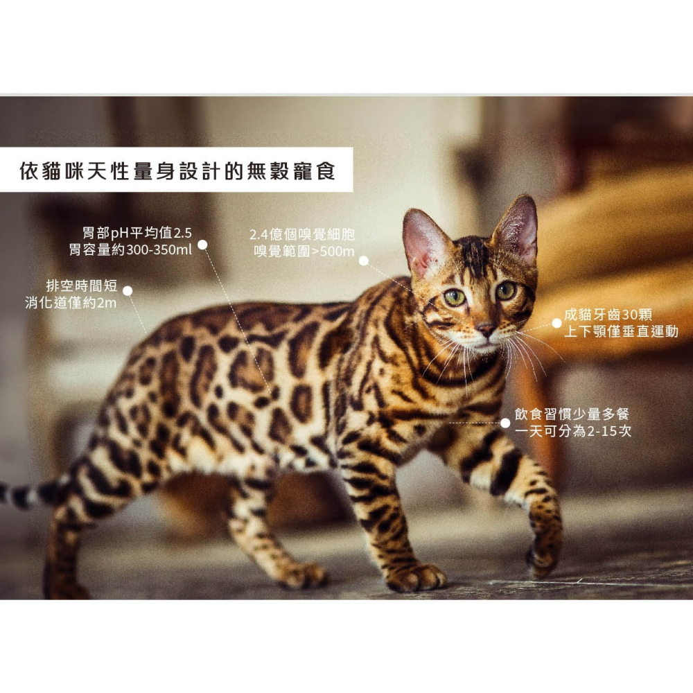 [喵皇帝] Trilogy 奇境 無穀成貓/幼貓慕斯主食罐 85g 貓罐頭-細節圖4