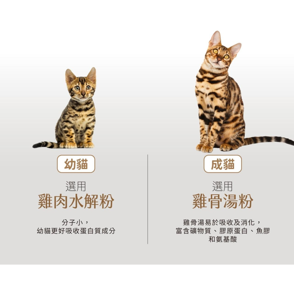 [喵皇帝] Trilogy 奇境 無穀成貓/幼貓慕斯主食罐 85g 貓罐頭-細節圖8