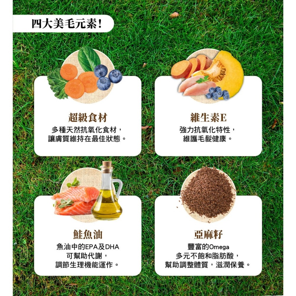 [喵皇帝] 澳洲 Ivory Coat 澳野 原野無穀成貓主食餐包 85g 貓罐頭 貓餐包-細節圖4