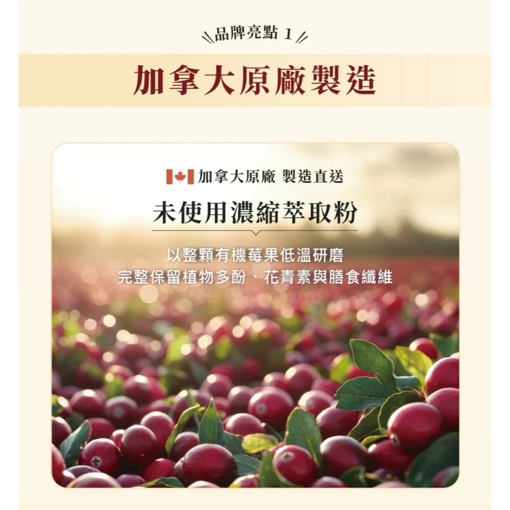 [喵皇帝] 加拿大 Cranimals 克萊莓 犬貓適用 有機蔓越莓泌尿道保健粉 60g-細節圖5