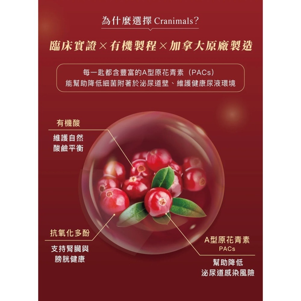 [喵皇帝] 加拿大 Cranimals 克萊莓 犬貓適用 有機蔓越莓泌尿道保健粉 60g-細節圖4