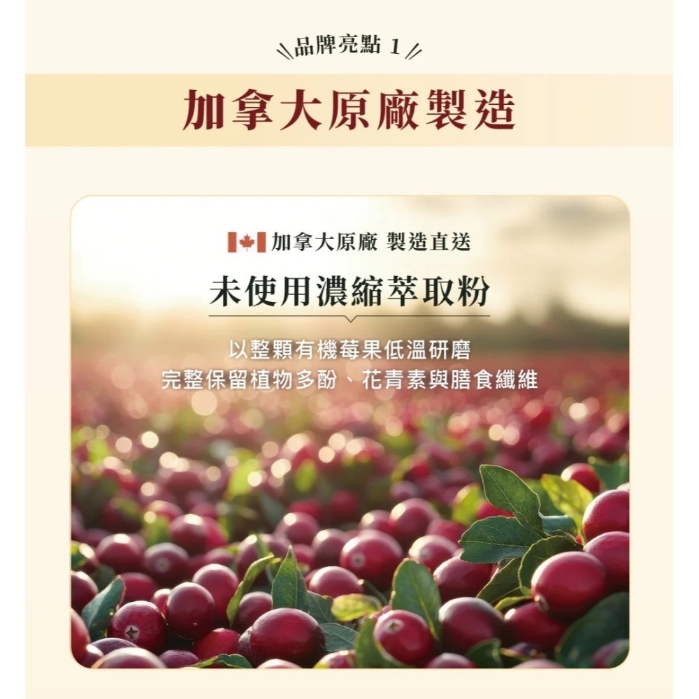 [喵皇帝] 加拿大 Cranimals 克萊莓 犬貓適用 有機蔓越莓泌尿道保健粉 60g-細節圖5
