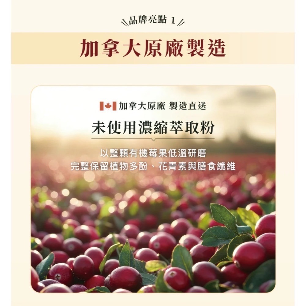 [喵皇帝] 加拿大 Cranimals 克萊莓 犬貓適用 有機蔓越莓泌尿道保健粉 60g-細節圖5