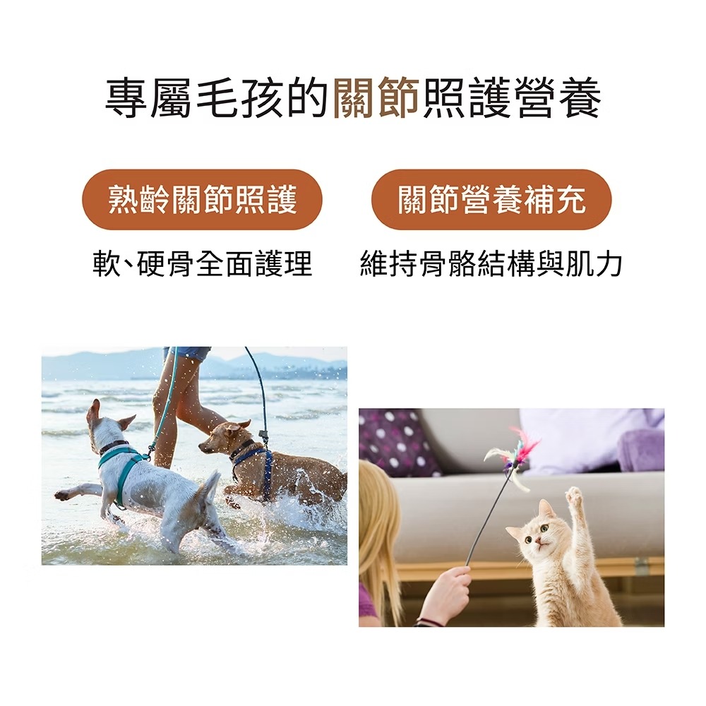 [喵皇帝] Hi-Q pets藻適捷 JointFree (30顆/盒) 犬貓適用 小分子褐藻醣膠 UCII 葡萄糖胺-細節圖3