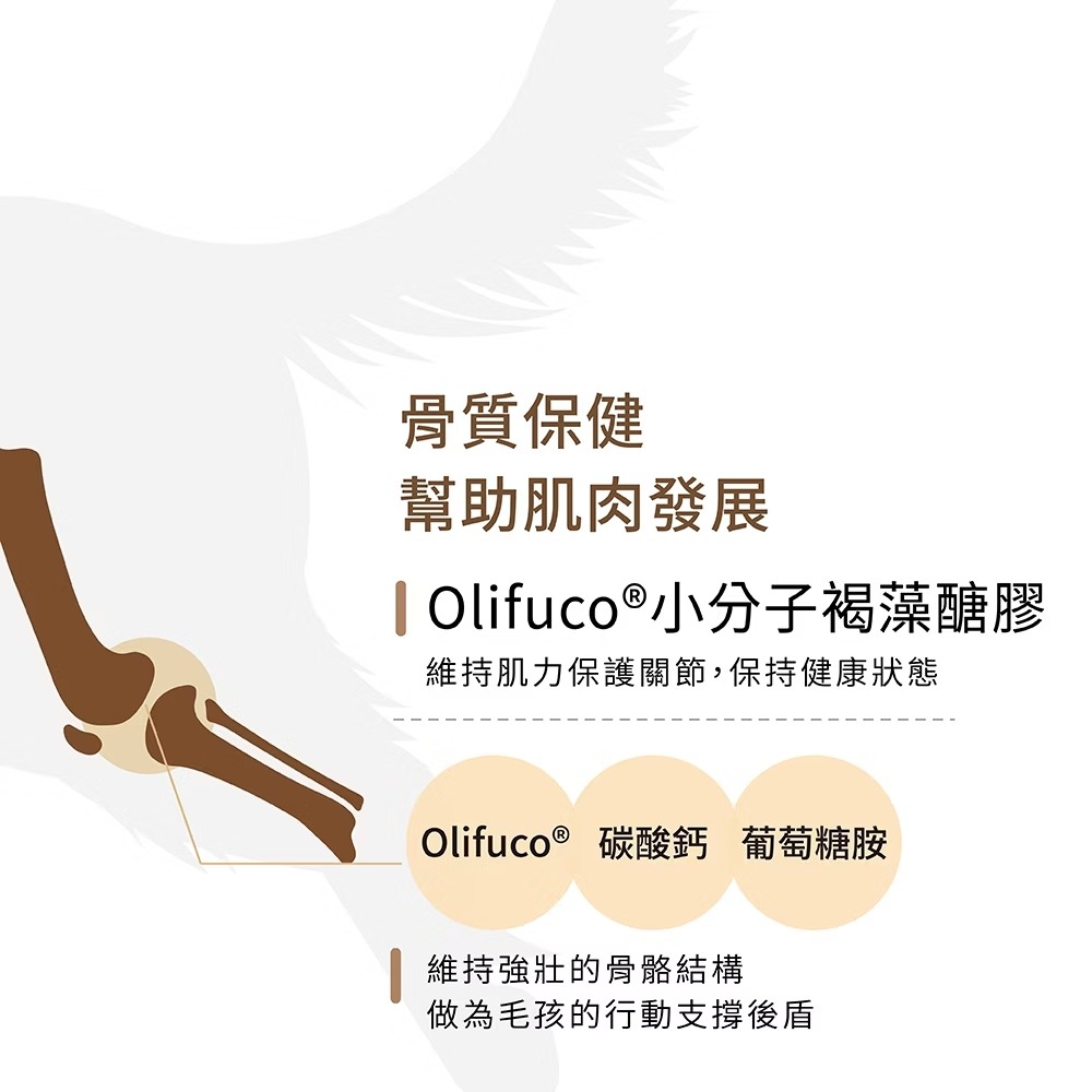 [喵皇帝] Hi-Q pets藻適捷 JointFree (30顆/盒) 犬貓適用 小分子褐藻醣膠 UCII 葡萄糖胺-細節圖6