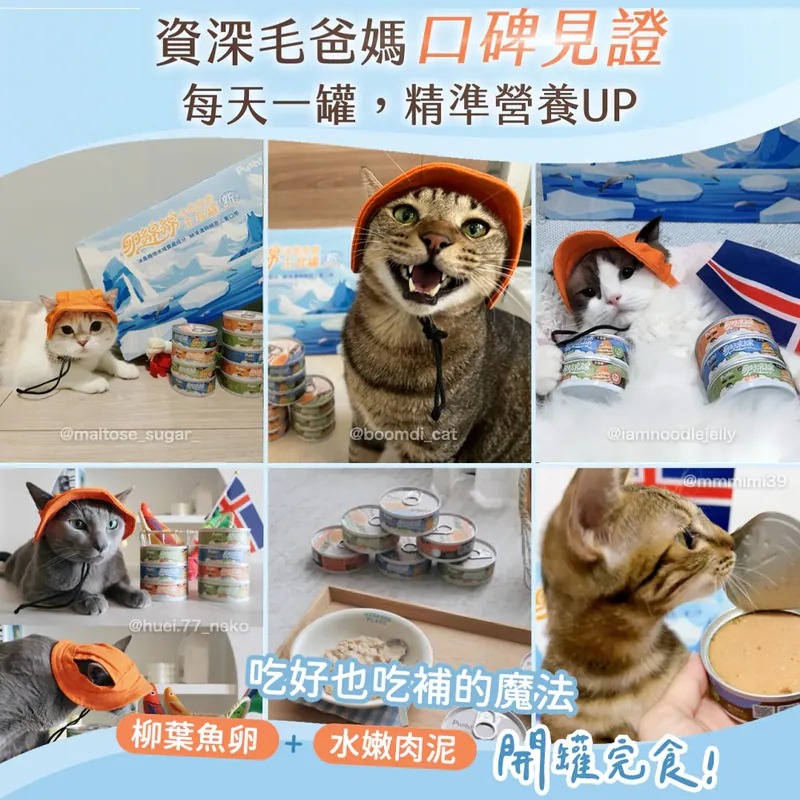 [喵皇帝] Push! 卵綿綿 🇮🇸冰島魚卵貓用主食罐 80g 貓罐頭-細節圖2