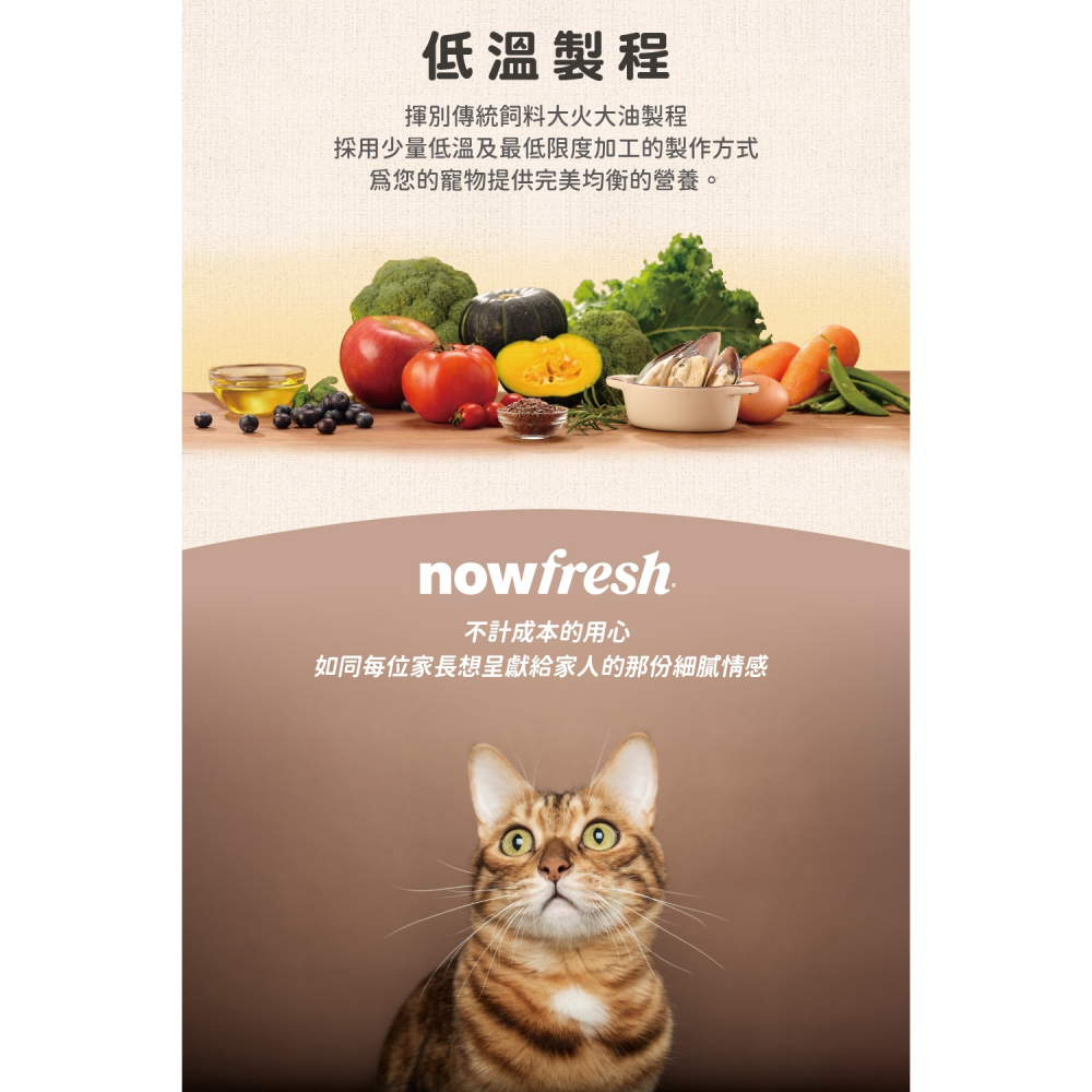 [喵皇帝] 加拿大 NOW 貓咪 鮮食主食餐包 71g 主食罐 濕食 貓罐頭 貓餐包-細節圖5