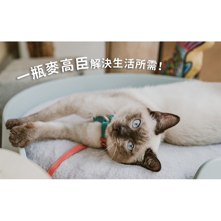 [喵皇帝] MicrocynAH 麥高臣 口腔護理噴霧 4oz (120ml) 犬貓適用 排除口腔異味-細節圖11