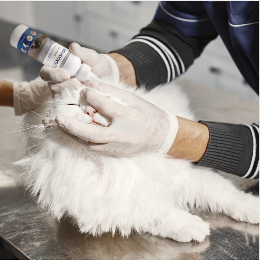 [喵皇帝] MicrocynAH 麥高臣 洗眼水 4oz (120ml) 犬貓適用 保持眼睛明亮-細節圖2