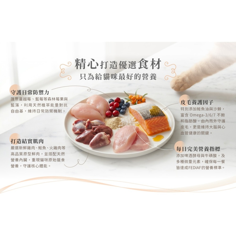 [喵皇帝] Hyperr 超躍 機能配方貓咪德國主食罐 餐盒 150g 貓罐頭-細節圖7