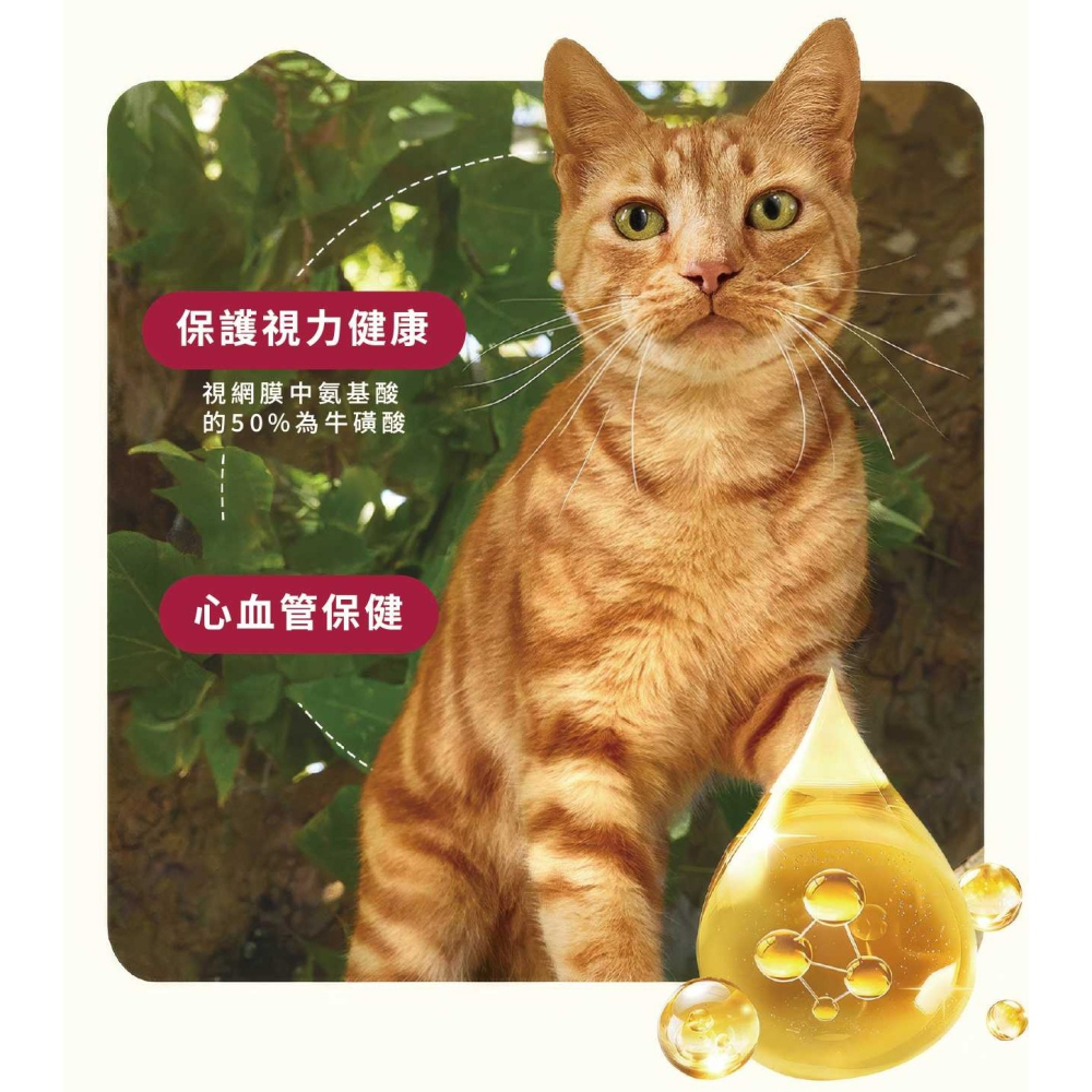 [喵皇帝] 德國 Animonda愛諾德 Carny卡昵 主食貓餐包 85g-細節圖8