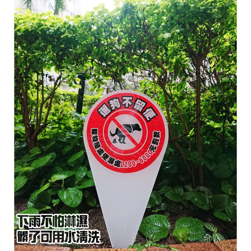 A08  壓克力 插牌 標示牌 告示牌  監視錄影 勿亂丟垃圾 遛狗不留便 寵物 請勿隨地大小便 花園 花圃-細節圖7