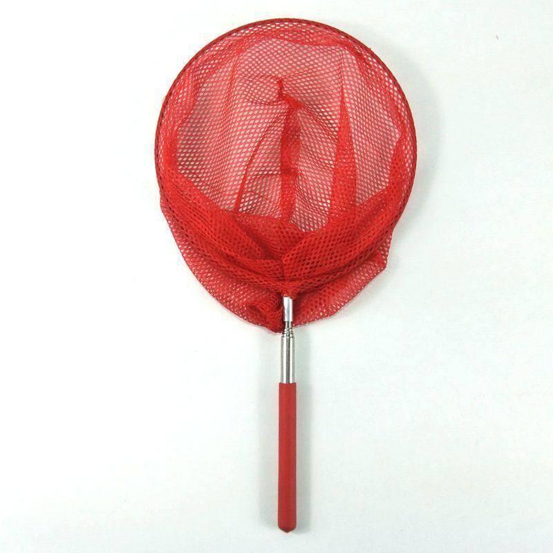 Cheerfulsprouts兒童捉昆蟲捕蝴蝶網不鏽鋼捕魚網兜伸縮撈魚網工具漁網撈蝦 捕蜻蜓網  露營工具 網子捕蟲網-細節圖5