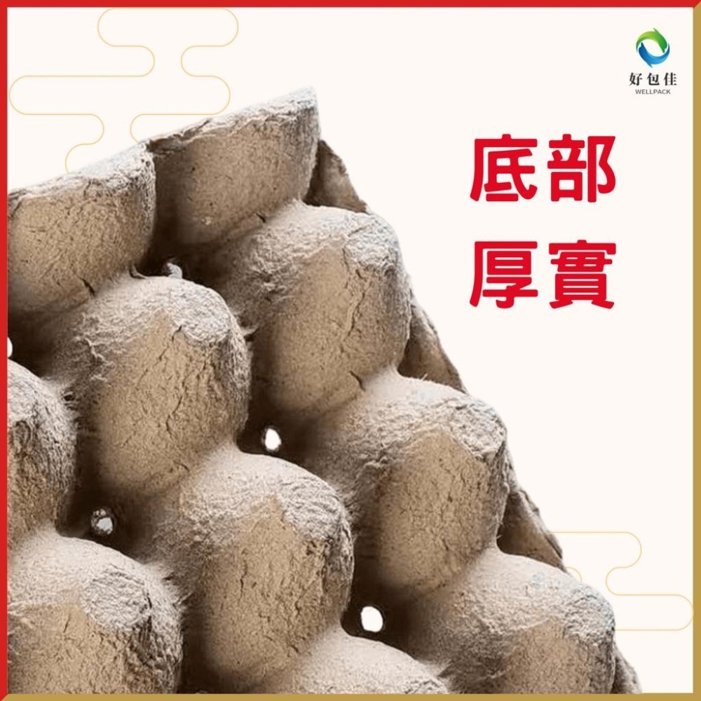 【好包佳】蛋盤 雞蛋盤 30入 雞蛋托 蛋托 紙蛋盤 雞蛋盤 紙蛋托 爬蟲養殖 台灣製-細節圖2