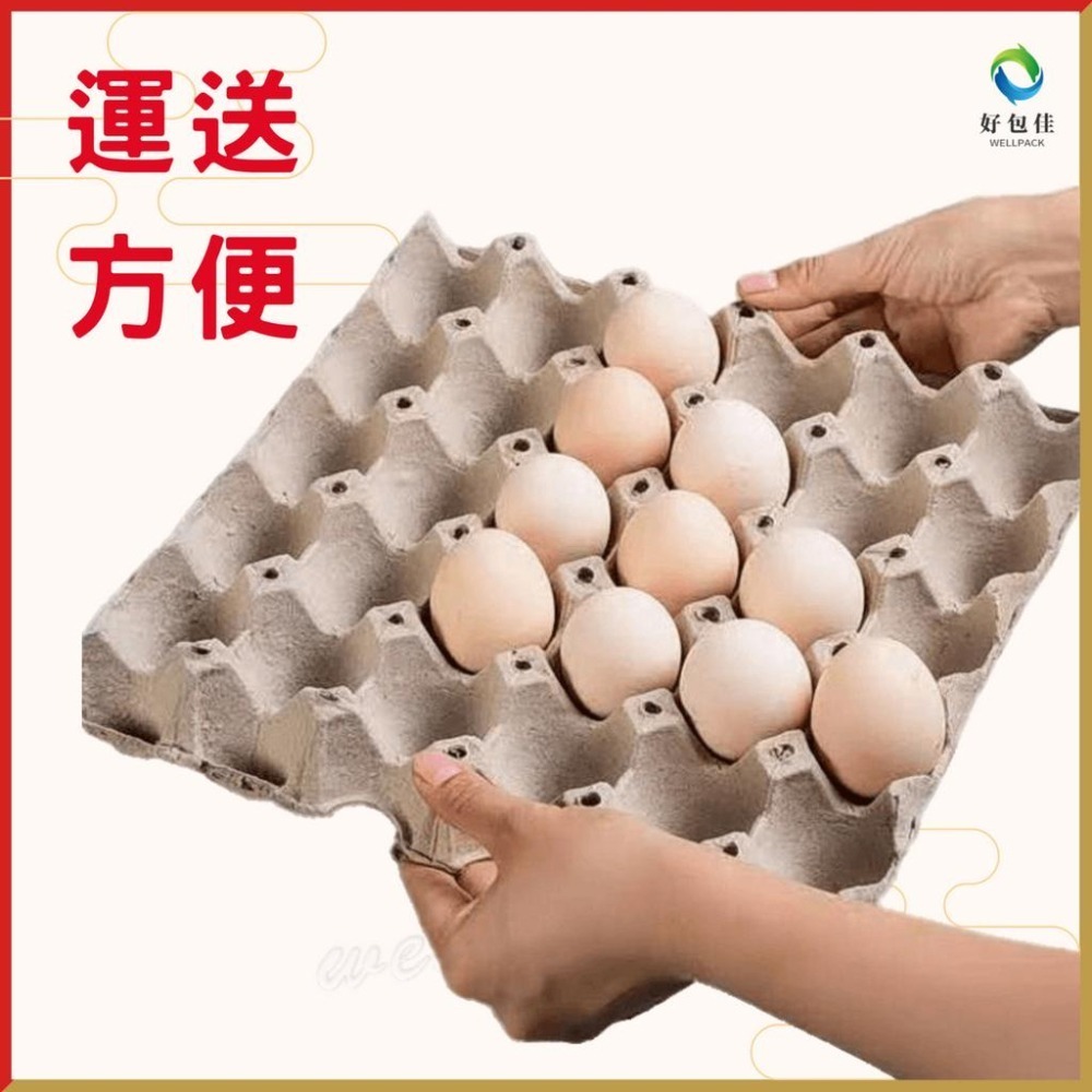【好包佳】蛋盤 雞蛋盤 30入 雞蛋托 蛋托 紙蛋盤 雞蛋盤 紙蛋托 爬蟲養殖 台灣製-細節圖3