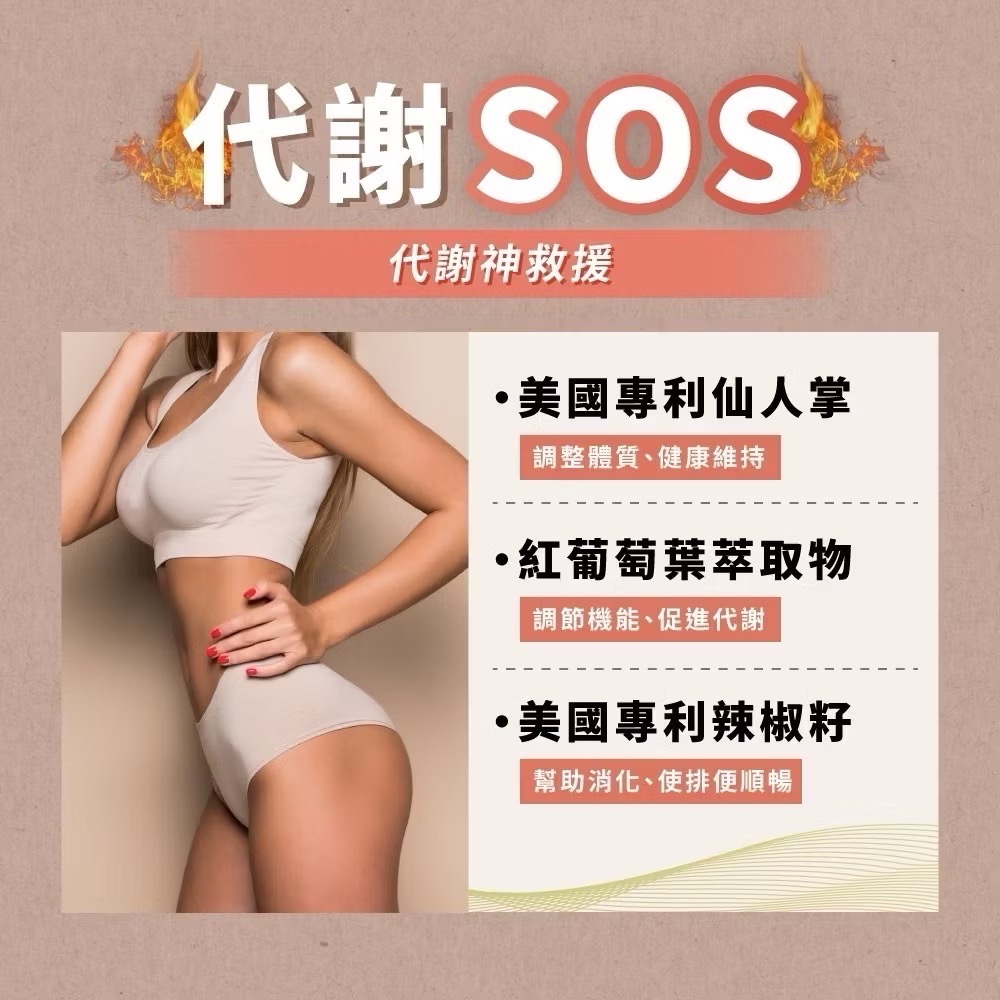 現貨🔥纖享so燃燒膠囊 元綠生技METAGREEN 纖享so燃燒膠囊 百種蔬果酵素 30粒/袋-細節圖3