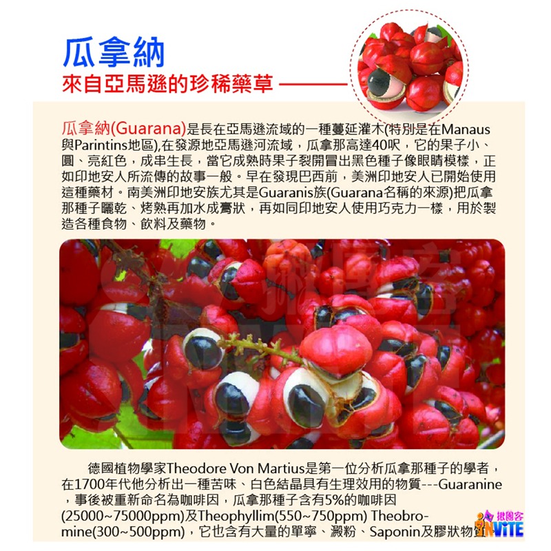 ♢揪團客♢ aminoMax 邁克仕 G.C.B 咖啡因膠囊 單包-細節圖7