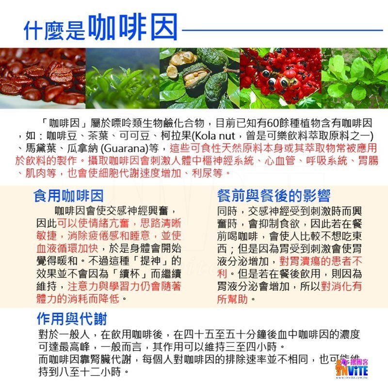 ♢揪團客♢ aminoMax 邁克仕 G.C.B 咖啡因膠囊 牛磺酸 B群 葉酸 提升爆發力 熬夜 激醒-細節圖5