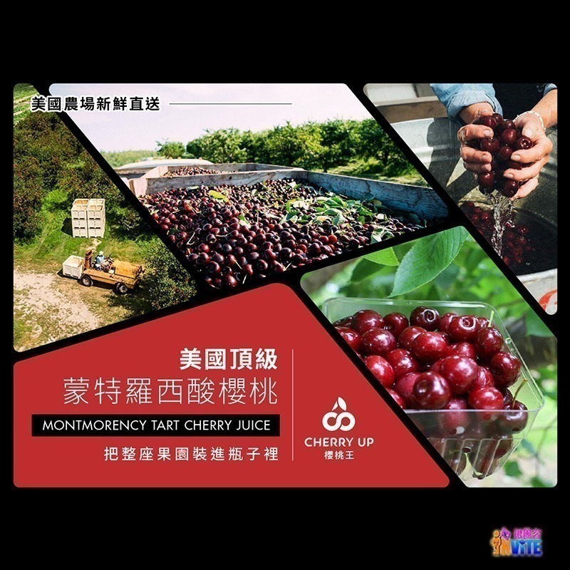 ♢揪團客♢ 【UP Sport】UP FAST 能量果膠 酸櫻桃汁風味 能量補給 跑步 馬拉松 自行車 登山 三鐵-細節圖6