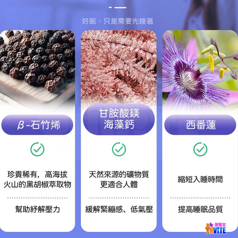 ♢揪團客♢ P.TEAM 石竹好眠 (4粒x1盒) 上班族 考生 賽前 選手 睡眠困擾 機師 空姐 出差 出國-細節圖5