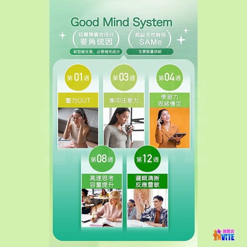 ♢揪團客♢ P.TEAM 麥角多智 (30粒/袋) 主管 科技業 上班族 學生 不正常飲食 吸菸 熬夜 銀髮族 思緒不寧-細節圖4