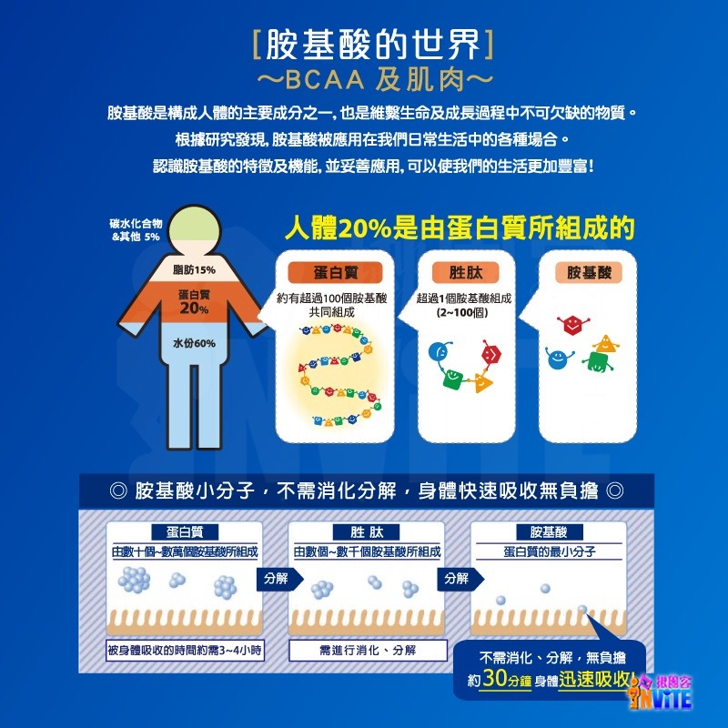 『 台灣原廠現貨』 ♢揪團客♢ 味之素 aminoVITAL® 【GOLD】黃金級 胺基酸 粉末 黃金級胺基酸-細節圖5