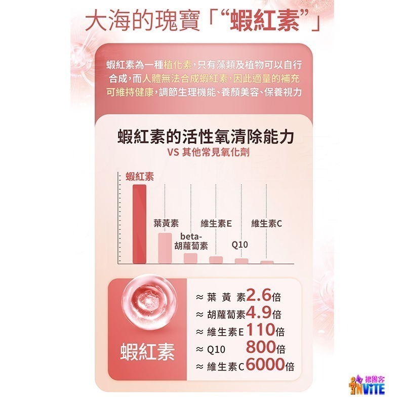 【即期】♢揪團客♢ P.TEAM 優勝者 30粒/盒 PRO.WINNER 薑黃 蝦紅素 黑胡椒鹼 膠囊-細節圖6